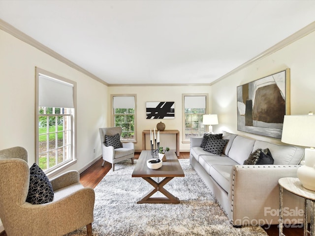 1049 Regency Dr, Charlotte, NC 28211 - living area featuring wood finished floors and crown molding