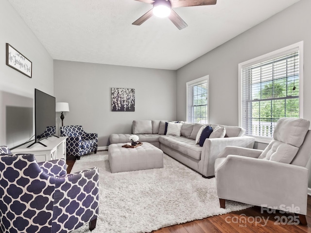 642 Bull Creek Rd, Mars Hill, NC 28754 - living area with a ceiling fan and dark wood-style floors