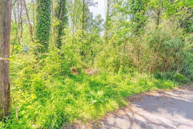 430 Pearson Dr, Asheville, NC 28801