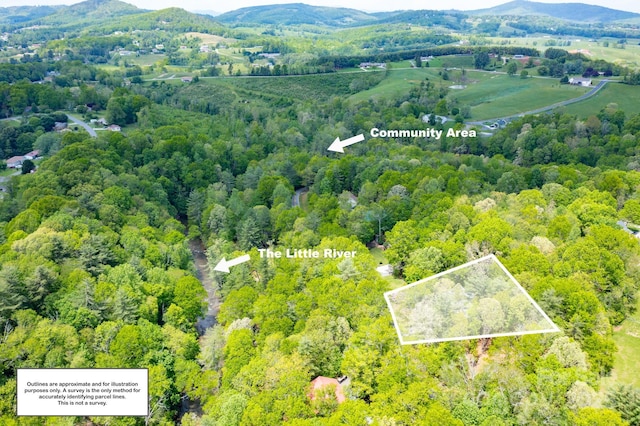 aerial view of property and surrounding area featuring property boundaries highlighted, a heavily wooded area, and mountains