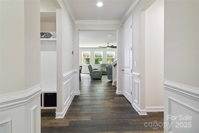 4935 Norman Park Pl, Clover, SC 29710 - hall with dark wood-type flooring, ornamental molding, a wainscoted wall, and a decorative wall
