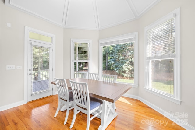 10024 Hazelview Dr, Charlotte, NC 28277 - dining room with healthy amount of natural light, light wood-style flooring, and baseboards