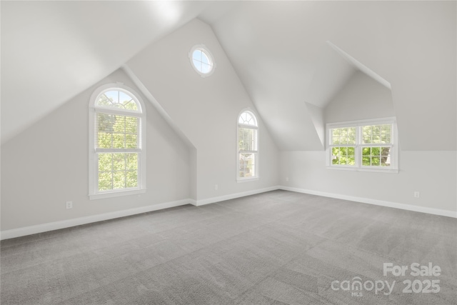 10024 Hazelview Dr, Charlotte, NC 28277 - additional living space with plenty of natural light, lofted ceiling, carpet flooring, and baseboards