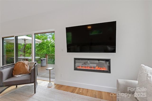 7 Big Rocky Top Dr, Weaverville, NC 28787 - sitting room featuring wood finished floors and a glass covered fireplace
