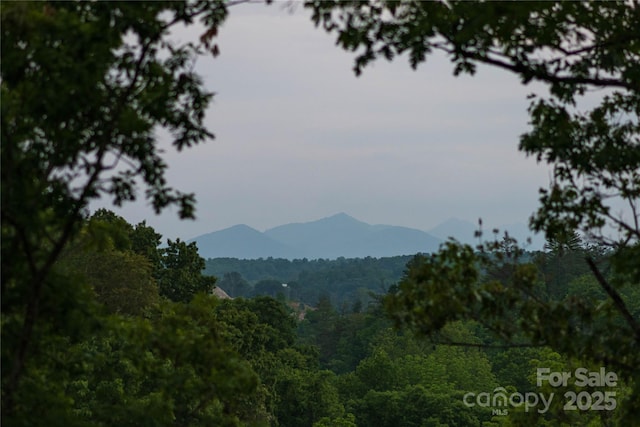 7 Big Rocky Top Dr, Weaverville, NC 28787 - view of mountain backdrop featuring a heavily wooded area
