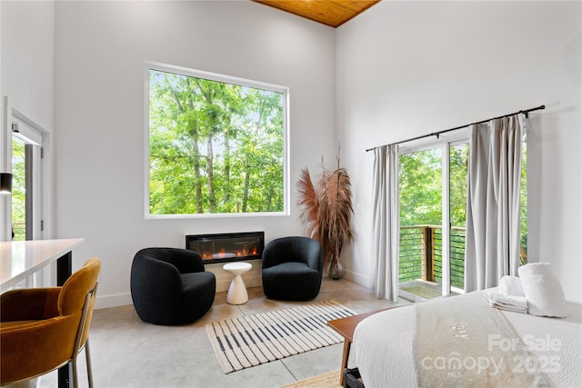 7 Big Rocky Top Dr, Weaverville, NC 28787 - bedroom featuring multiple windows and a glass covered fireplace