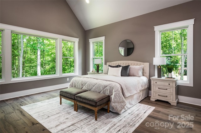7703 Juniper Ln, Denver, NC 28037 - bedroom with multiple windows, baseboards, dark wood finished floors, and high vaulted ceiling