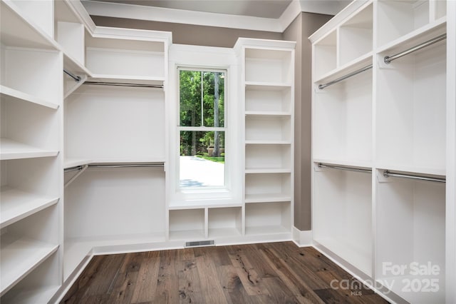 7703 Juniper Ln, Denver, NC 28037 - walk in closet with dark wood finished floors