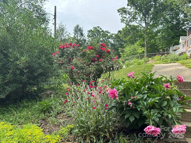 12 Canterbury Rd, Asheville, NC 28805 - view of yard