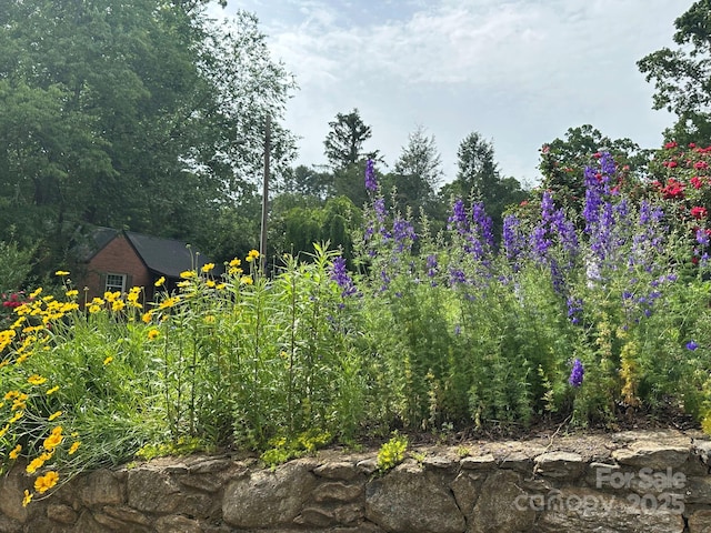 12 Canterbury Rd, Asheville, NC 28805 - view of local wilderness