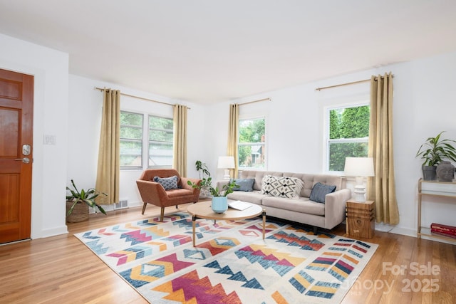 12 Canterbury Rd, Asheville, NC 28805 - living area with wood finished floors and healthy amount of natural light