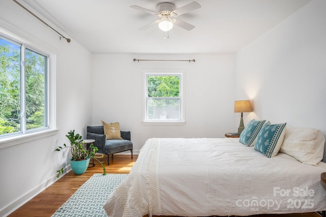 12 Canterbury Rd, Asheville, NC 28805 - bedroom featuring multiple windows, wood finished floors, baseboards, and a ceiling fan