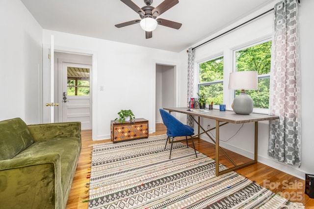 12 Canterbury Rd, Asheville, NC 28805 - office space featuring wood finished floors, plenty of natural light, and ceiling fan