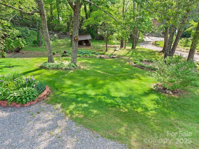 161 Moody Mountain Rd, Burnsville, NC 28714 - view of green lawn featuring an outbuilding