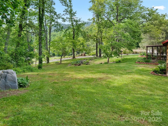 161 Moody Mountain Rd, Burnsville, NC 28714 - view of green lawn