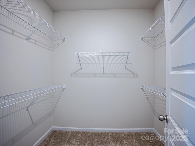 2541 Ruby Dixon Crossing Dr Unit 18, Gastonia, NC 28056 - spacious closet featuring carpet flooring