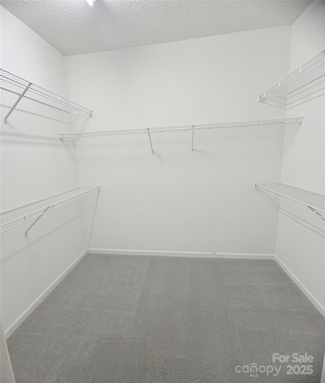 4467 Antelope Ln, Charlotte, NC 28269 - spacious closet featuring carpet floors