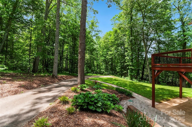 82 Sunburst Dr, Waynesville, NC 28786 - view of road
