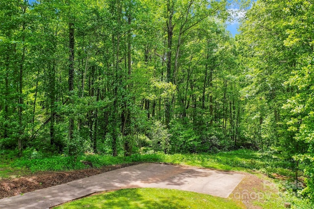 82 Sunburst Dr, Waynesville, NC 28786 - view of yard with a wooded view
