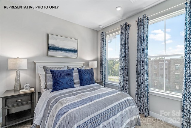 bedroom featuring baseboards and carpet