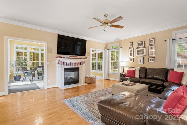 4389 Enchantment Cove Ln, Charlotte, NC 28216 - living room with wood finished floors, a ceiling fan, crown molding, a fireplace with flush hearth, and baseboards
