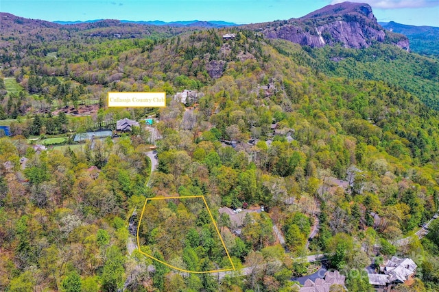 88 Lost Trl Unit 143, Highlands, NC 28741 - view of property location featuring a heavily wooded area, property parcel outlined, and a mountainous background