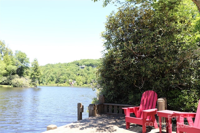 88 Lost Trl Unit 143, Highlands, NC 28741 - dock with a water view and a forest view