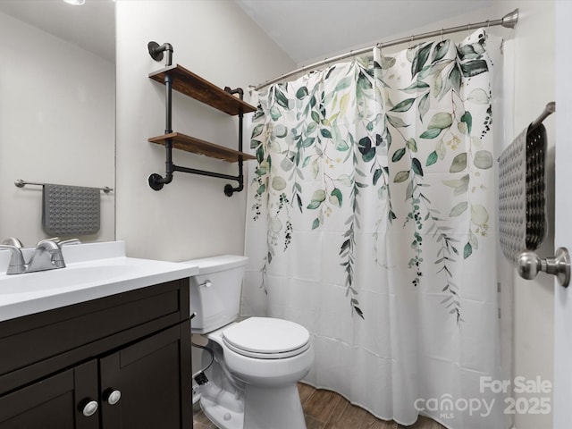 730 Cove Rd, Gastonia, NC 28052 - bathroom with vanity, wood finished floors, toilet, and a shower with shower curtain