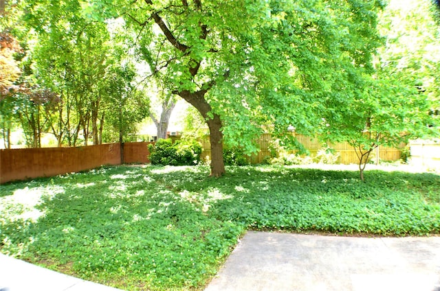 2000 Tyvola Rd, Charlotte, NC 28210 - view of fenced backyard