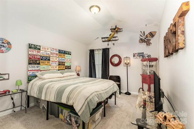 479 Shallowford Dr, Rock Hill, SC 29732 - photo 29