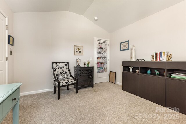 479 Shallowford Dr, Rock Hill, SC 29732 - photo 35