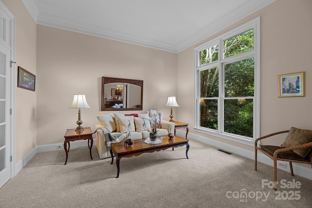 10317 Clubhouse View Ln, Mint Hill, NC 28227 - carpeted living area with baseboards and crown molding
