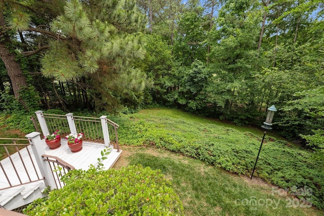 10317 Clubhouse View Ln, Mint Hill, NC 28227 - view of yard with a deck