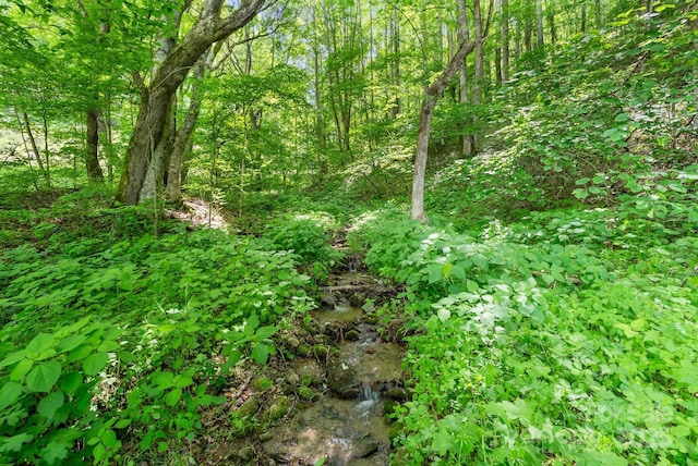 370 Fox Cove Rd, Mars Hill, NC 28754 - view of tree filled area