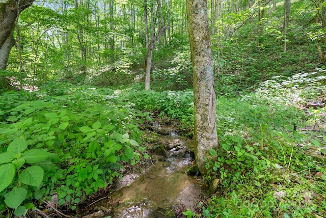 370 Fox Cove Rd, Mars Hill, NC 28754 - view of tree filled area