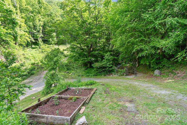370 Fox Cove Rd, Mars Hill, NC 28754 - view of yard featuring a vegetable garden and a forest view