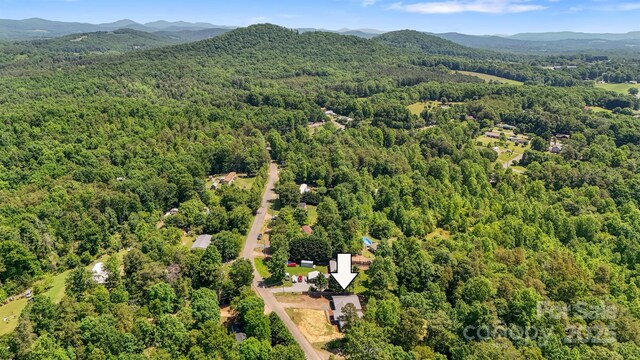 3041 Ironwood Ct, Granite Falls, NC 28630 - photo 31
