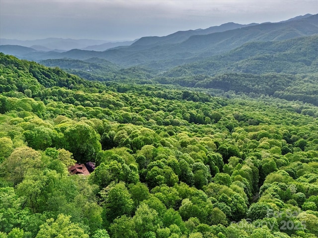 287 Sara Ridge Rd, Waynesville, NC 28786 - view of mountain background with a forest