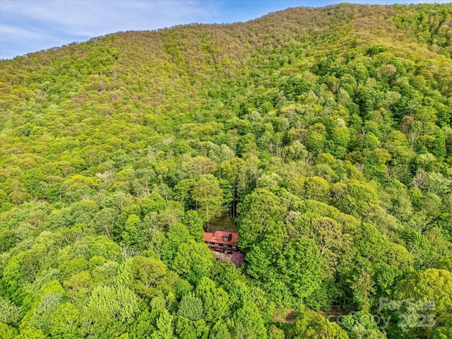 287 Sara Ridge Rd, Waynesville, NC 28786 - bird's eye view of a heavily wooded area and a mountainous background