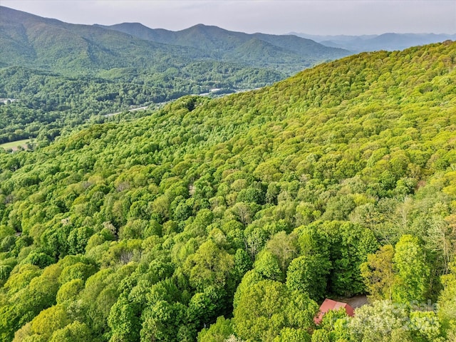 287 Sara Ridge Rd, Waynesville, NC 28786 - mountain view featuring a heavily wooded area