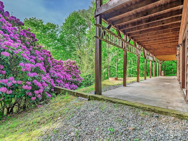 287 Sara Ridge Rd, Waynesville, NC 28786 - view of patio