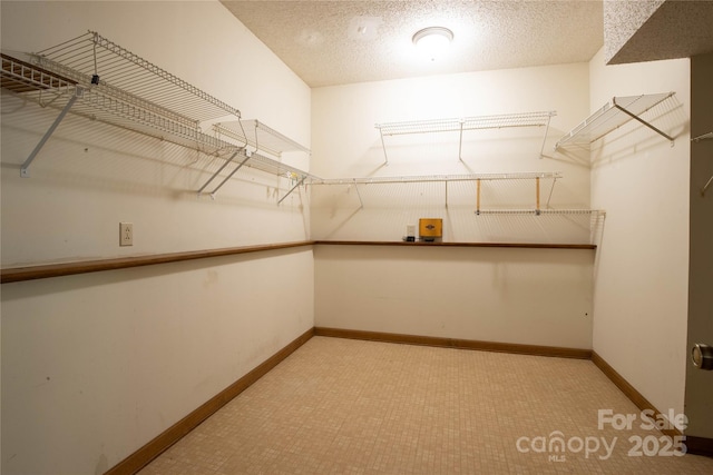 1 Spring Rd, Spruce Pine, NC 28777 - view of walk in closet