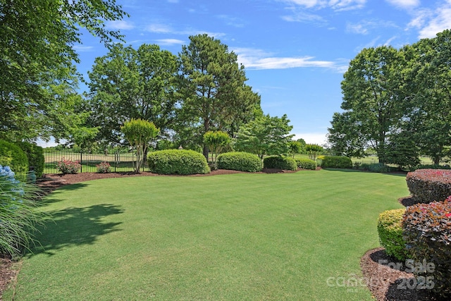 18718 Peninsula Cove Ln, Cornelius, NC 28031 - view of yard