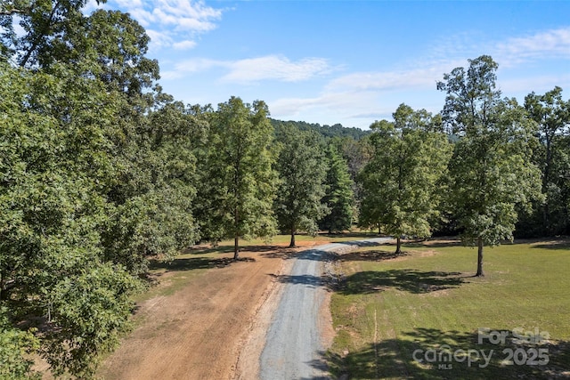 1564 Cc Rd, Rutherfordton, NC 28139 - photo 5