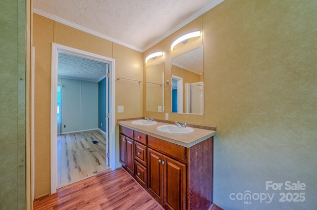 4065 NC-126 Hwy, Morganton, NC 28655 - bathroom featuring wood finished floors, ornamental molding, double vanity, and a textured ceiling