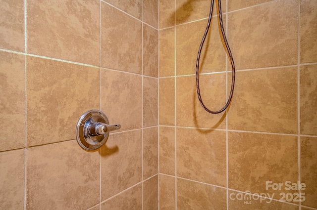 4065 NC-126 Hwy, Morganton, NC 28655 - bathroom view of tiled shower