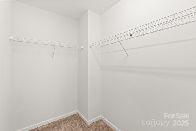 4352 Haddington Dr, Fort Mill, SC 29707 - spacious closet with carpet