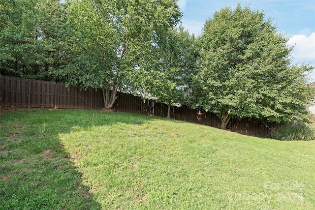 4352 Haddington Dr, Fort Mill, SC 29707 - view of yard