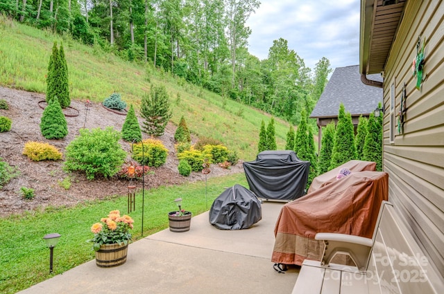 153 Water Leaf Dr, Weaverville, NC 28787 - view of patio