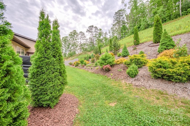 153 Water Leaf Dr, Weaverville, NC 28787 - view of grassy yard